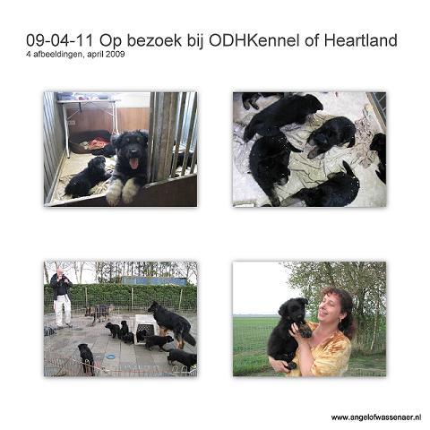 Op bezoek bij ODH Kennel of Heartland